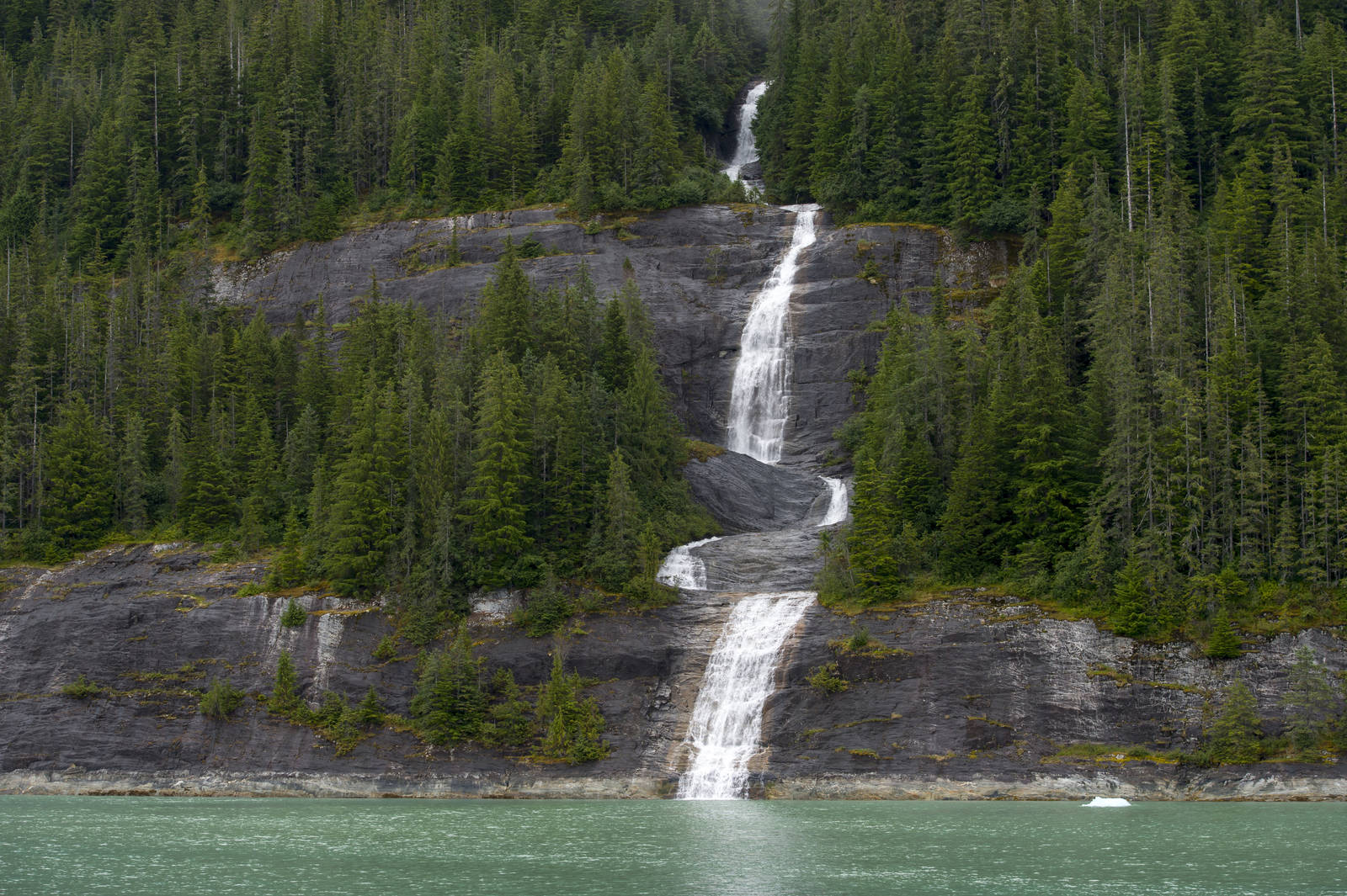 Trump Administration to Open Undeveloped Forests to Mining, Logging